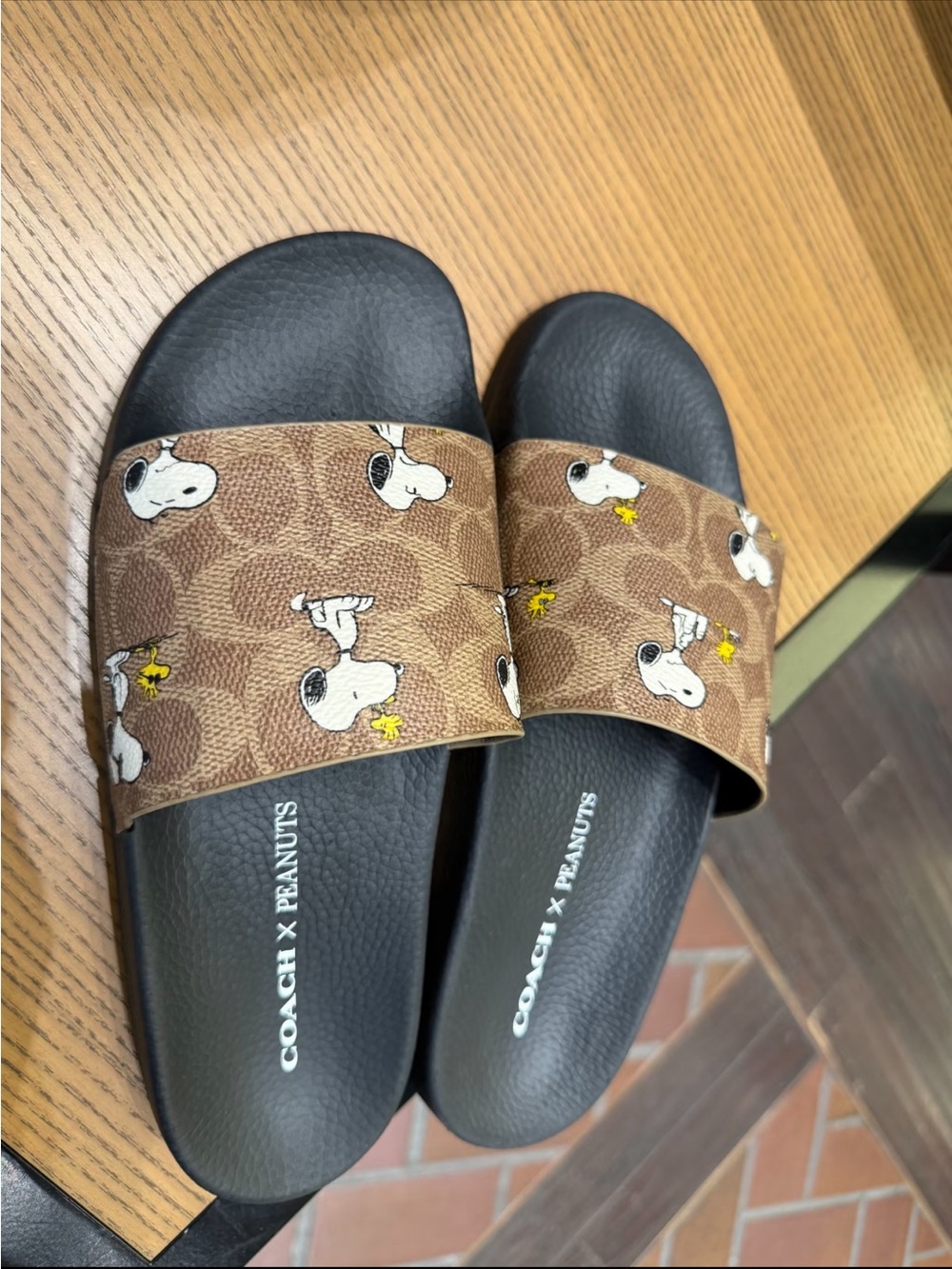 Coach X Peanuts Udele Sport Slide
In Signature Canvas With Snoopy Print - Picture 2 of 2